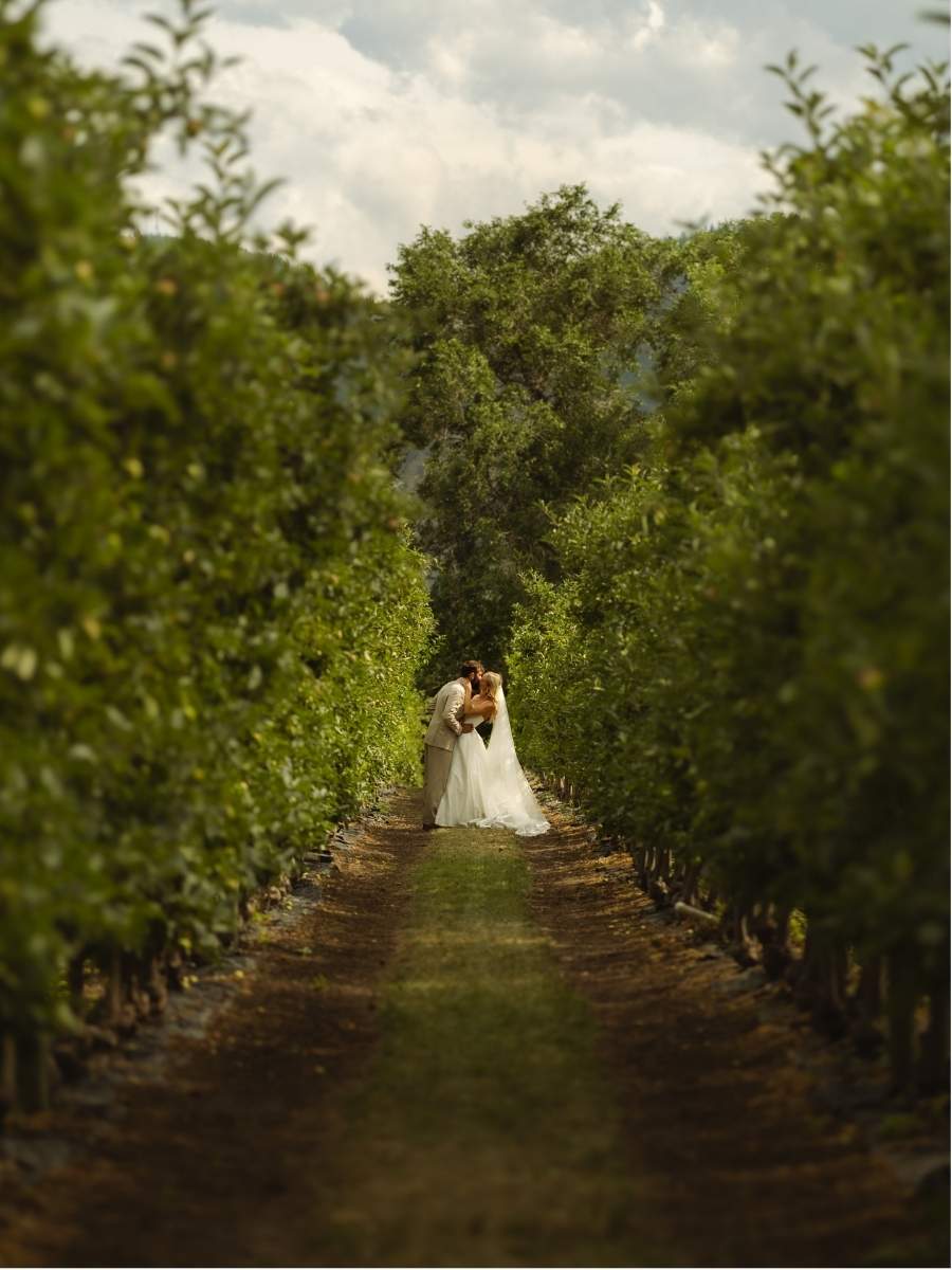 Cinematic wedding photograph from the Akiko Archive collection, image 88